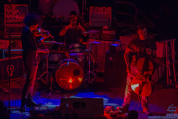 _MG_1617