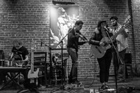 Foxtails Brigade