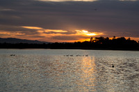 Shoreline Sunset 6-16-2012