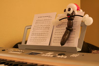 My wife's balloon sculptures meet my photography.