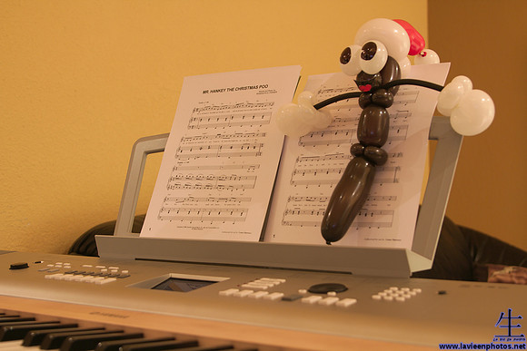 My wife's balloon sculptures meet my photography.