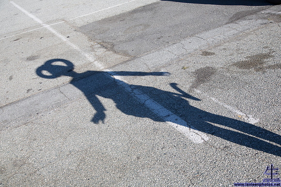 _MG_8888