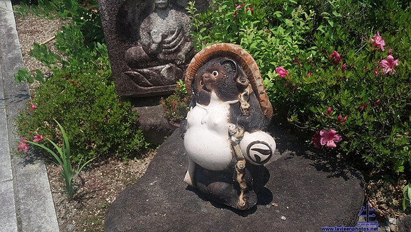 Tanuki in the garden of a Buddhist temple