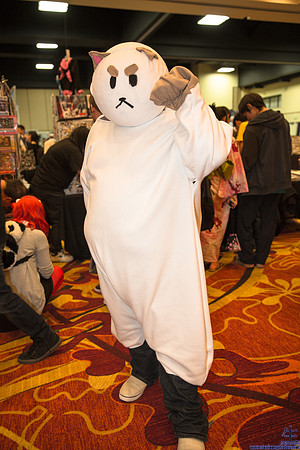 _MG_0651