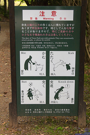 This is how they train the attack deer.