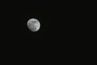 Obligatory moon shot. It was only taken at 95mm, but its presence demanded some form of tribute.