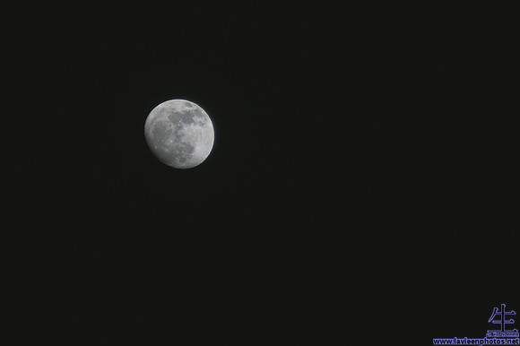 Obligatory moon shot. It was only taken at 95mm, but its presence demanded some form of tribute.