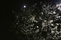 NASA Ames by night 3-5-2012