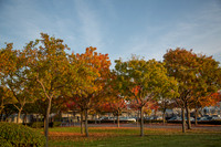 _MG_4565