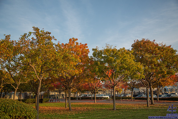 _MG_4565
