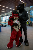 _MG_0663