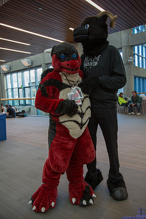 _MG_0663