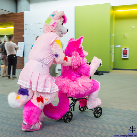 _MG_0609
