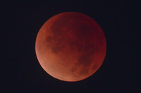 Lunar eclipse at totality, this was a fast initial processing before I go through and process the images. I think I need to sleep first. :)
