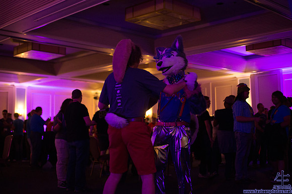 _MG_0361