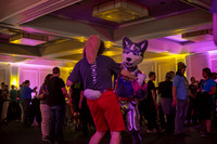 _MG_0363