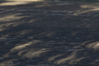The sun's shape projected on the road through the trees