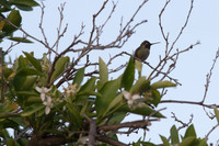 IMG_8616