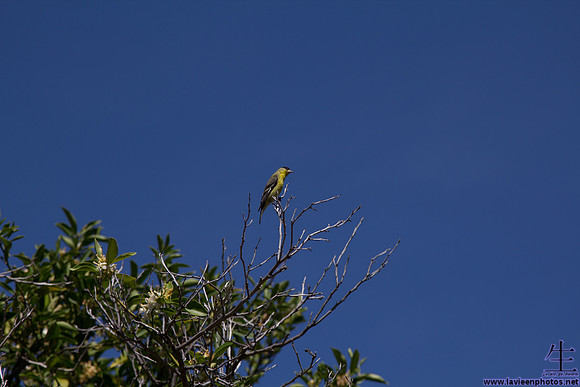 IMG_8210