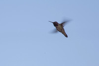 IMG_8589